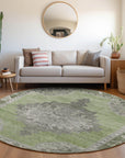 Addison Rugs Haelion Aloe Washable Indoor-Outdoor Rug
