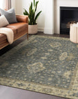 Addison Rugs Iriaris Gray Washable Indoor-Outdoor Rug