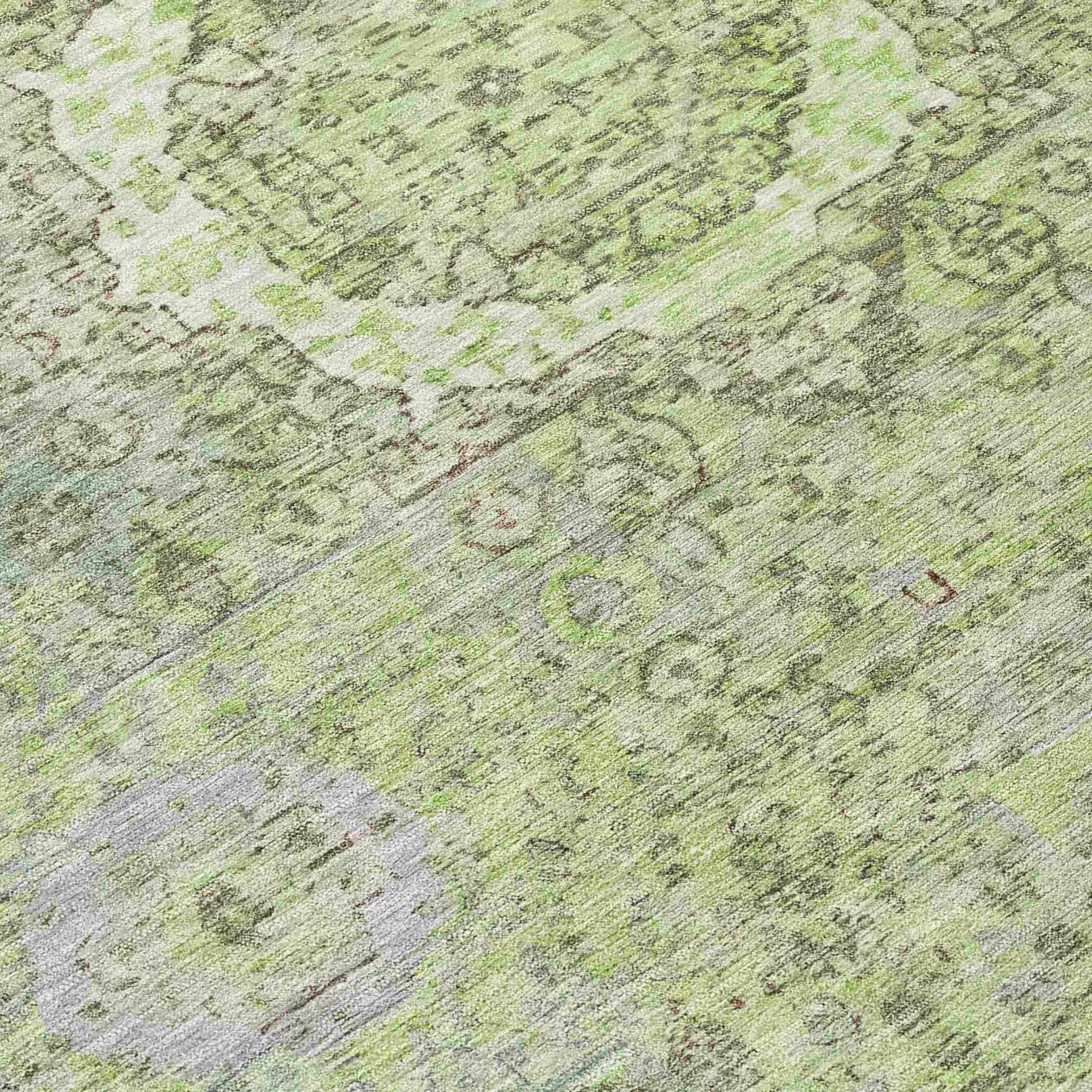 Addison Rugs Irias Aloe Washable Indoor-Outdoor Rug