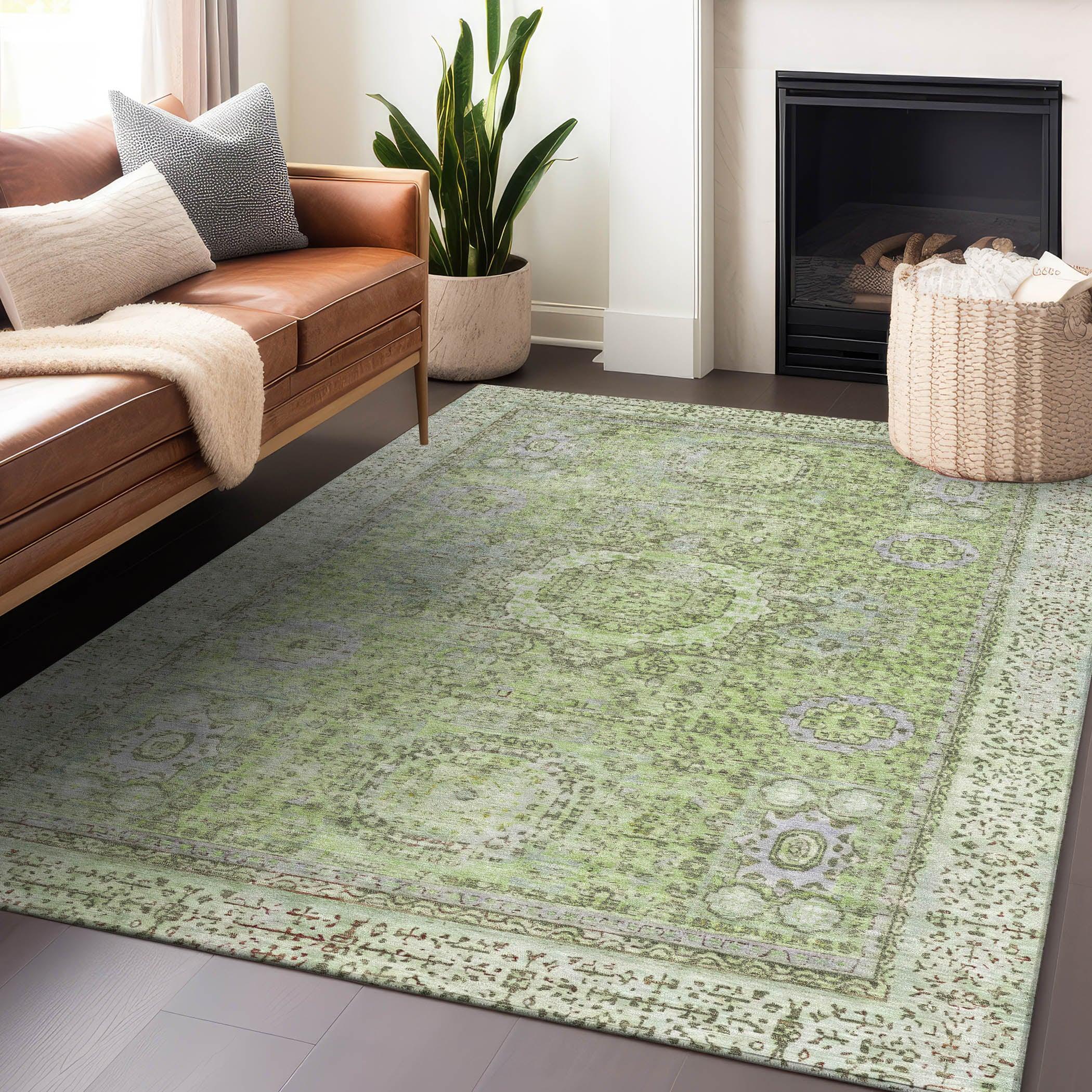 Addison Rugs Irias Aloe Washable Indoor-Outdoor Rug
