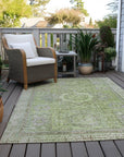 Addison Rugs Irias Aloe Washable Indoor-Outdoor Rug