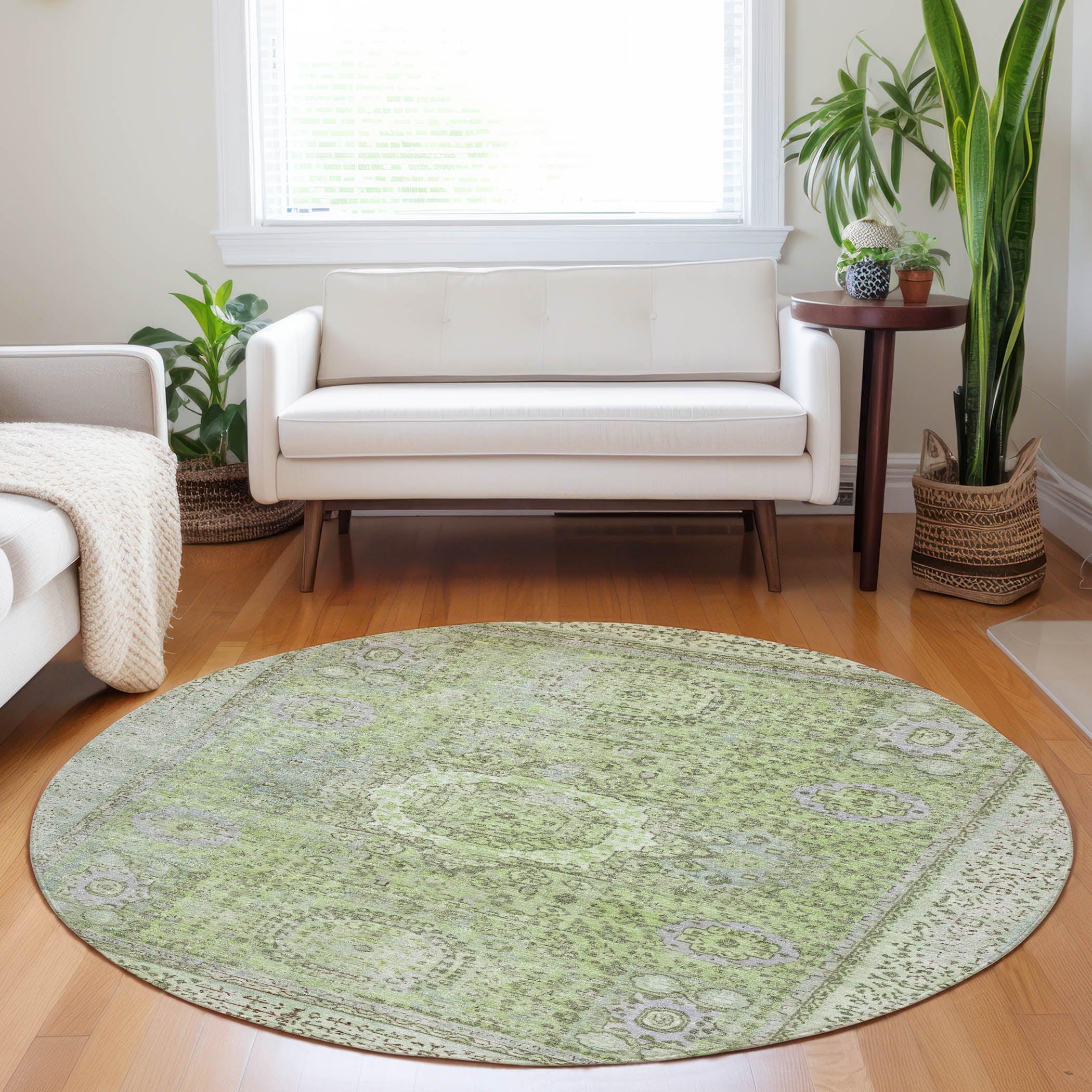 Addison Rugs Irias Aloe Washable Indoor-Outdoor Rug