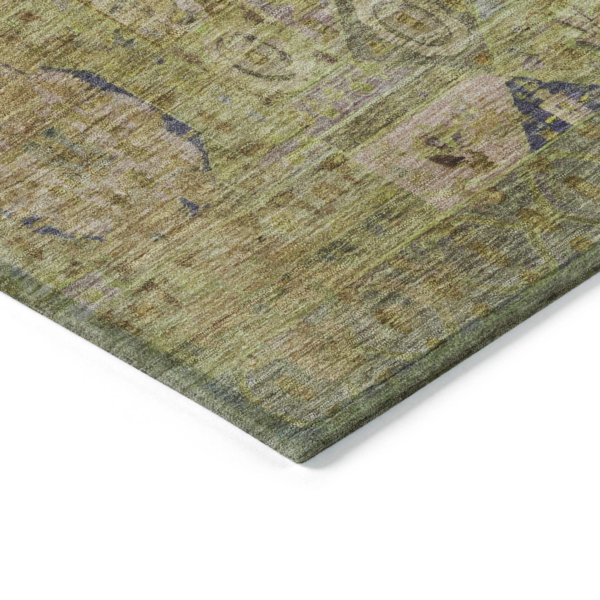 Addison Rugs Iriir Aloe Washable Indoor-Outdoor Rug
