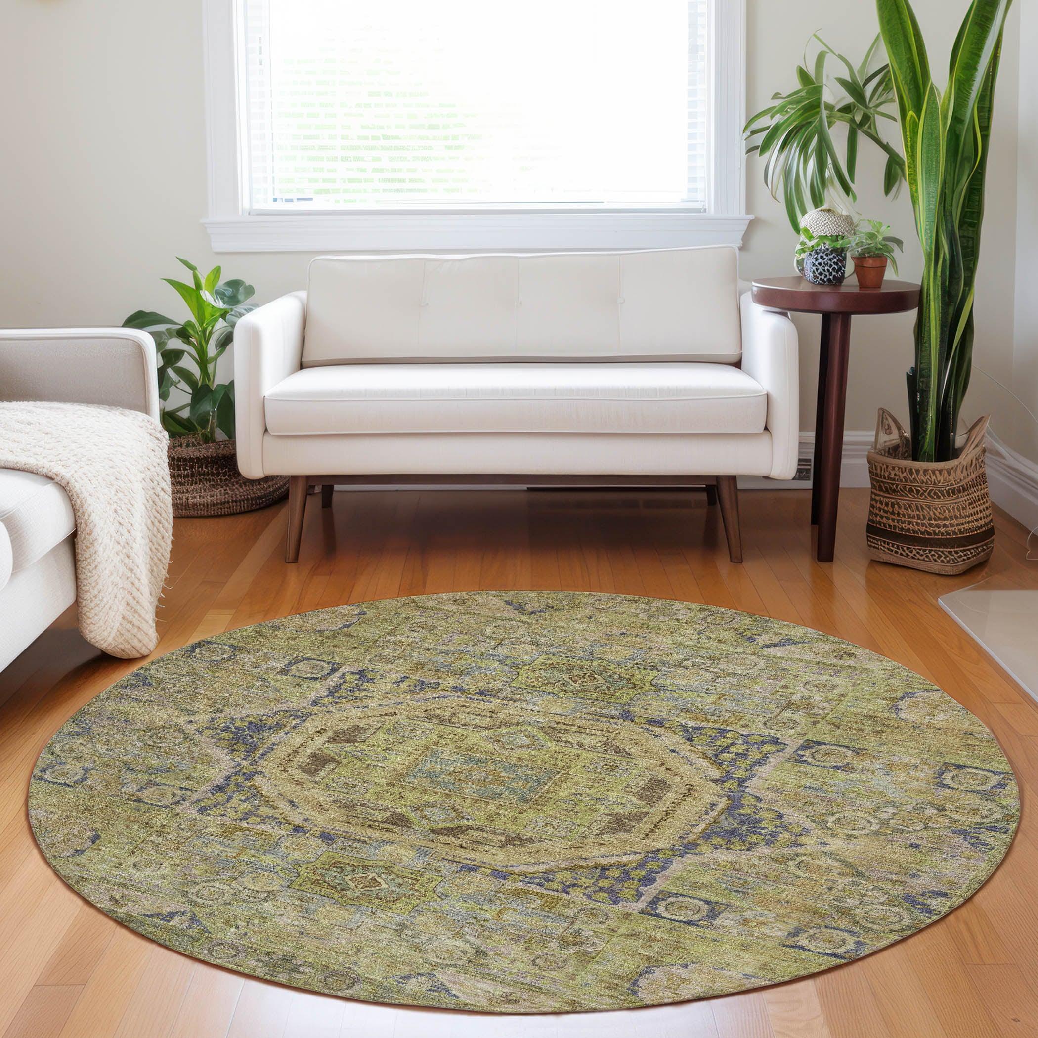 Addison Rugs Iriir Aloe Washable Indoor-Outdoor Rug
