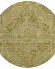 Addison Rugs Kaelanor Aloe Washable Indoor-Outdoor Rug