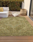 Addison Rugs Kaelanor Aloe Washable Indoor-Outdoor Rug
