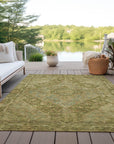 Addison Rugs Kaelanor Aloe Washable Indoor-Outdoor Rug