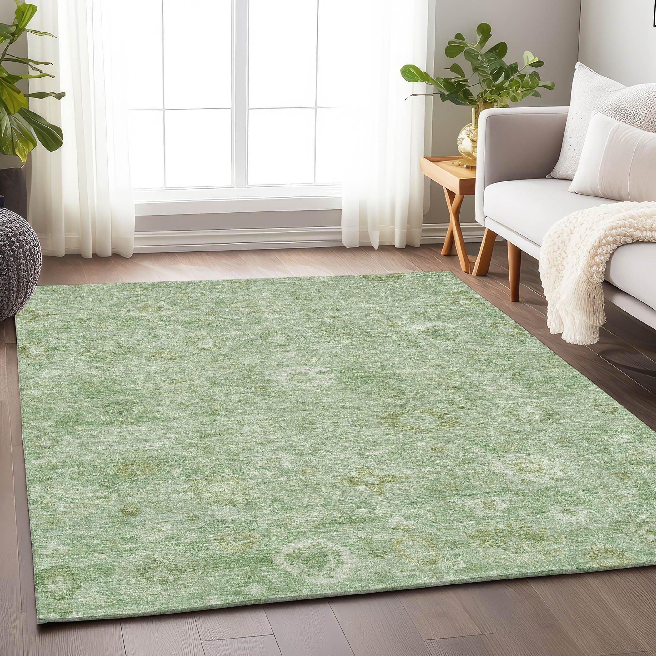 Addison Rugs Laeara Aloe Washable Indoor-Outdoor Rug