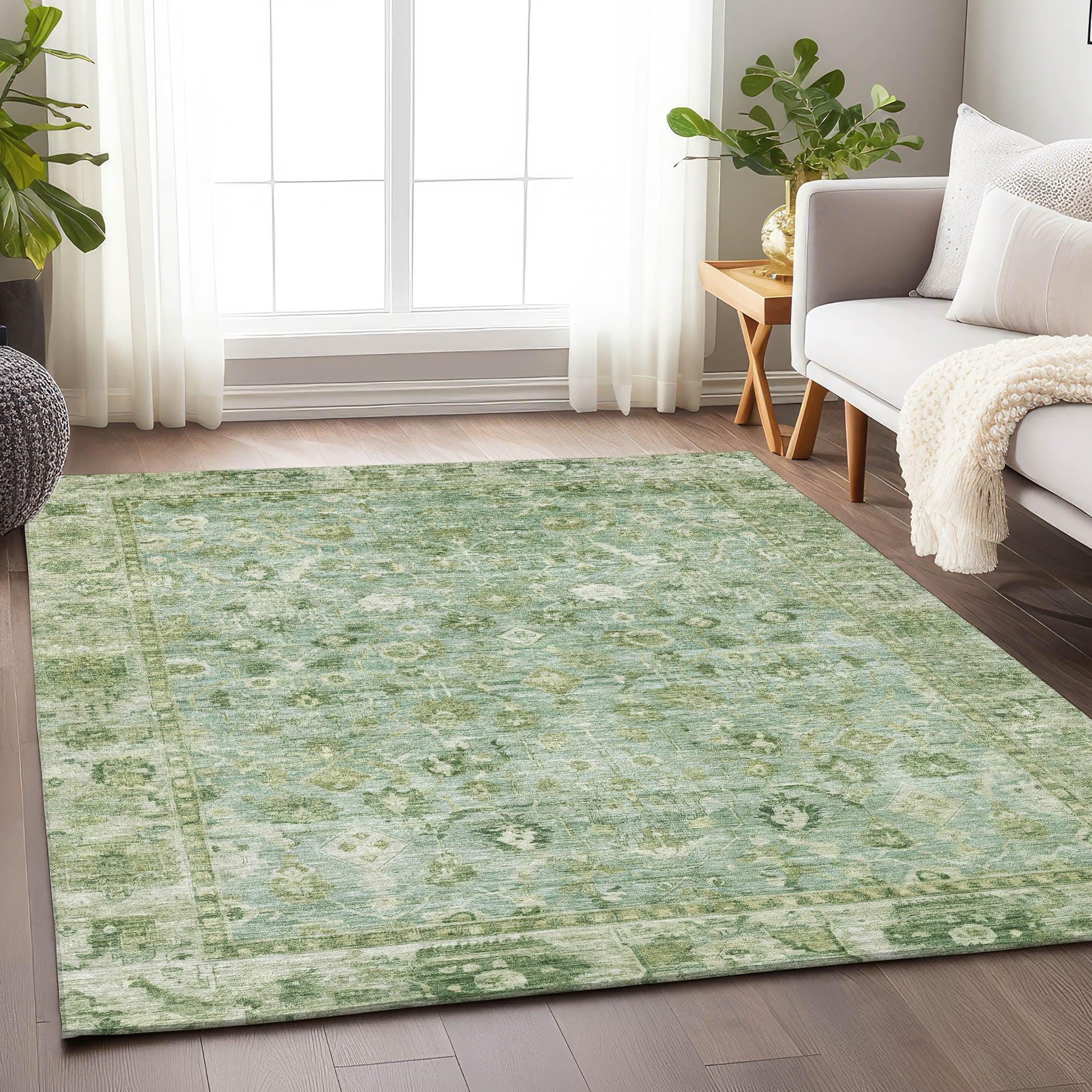 Addison Rugs Laeel Aloe Washable Indoor-Outdoor Rug