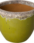 Emissary Modern Round Ceramic Planter