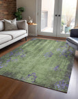 Addison Rugs Naelion Green Washable Indoor-Outdoor Rug