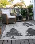 Addison Rugs Paelion Gray Washable Indoor-Outdoor Rug