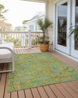Addison Rugs Paisley Aloe Washable Indoor-Outdoor Rug