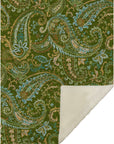 Addison Rugs Paisley Green Washable Indoor-Outdoor Rug