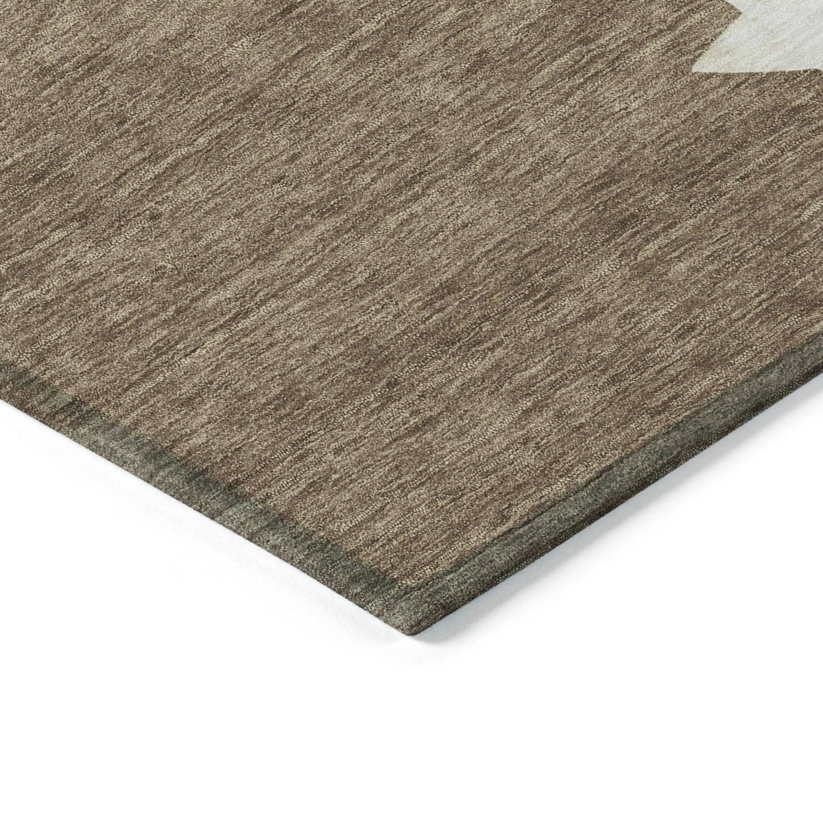 Addison Rugs Raeain Brown Washable Indoor-Outdoor Rug