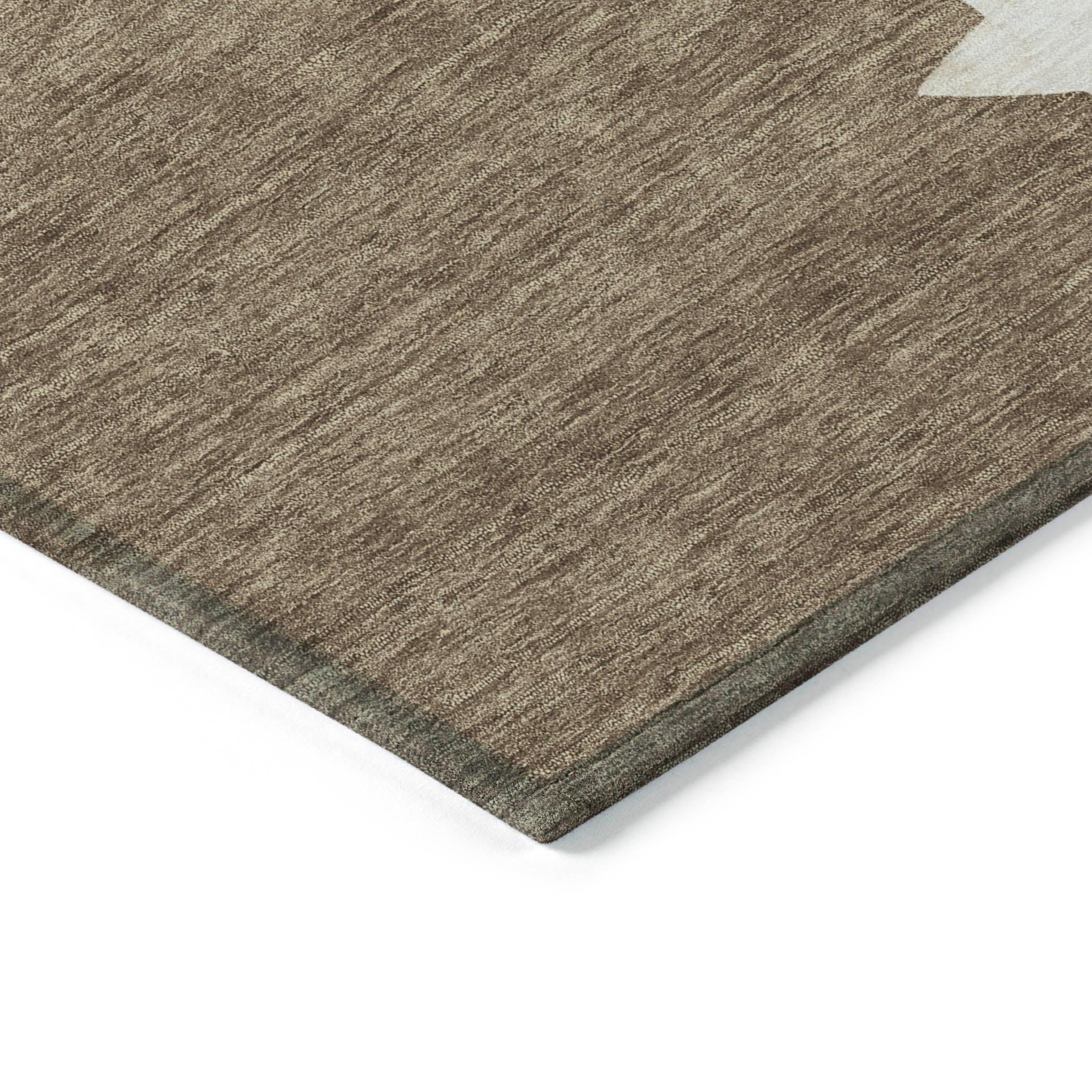 Addison Rugs Raeain Brown Washable Indoor-Outdoor Rug