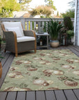 Addison Rugs Raearis Aloe Washable Indoor-Outdoor Rug