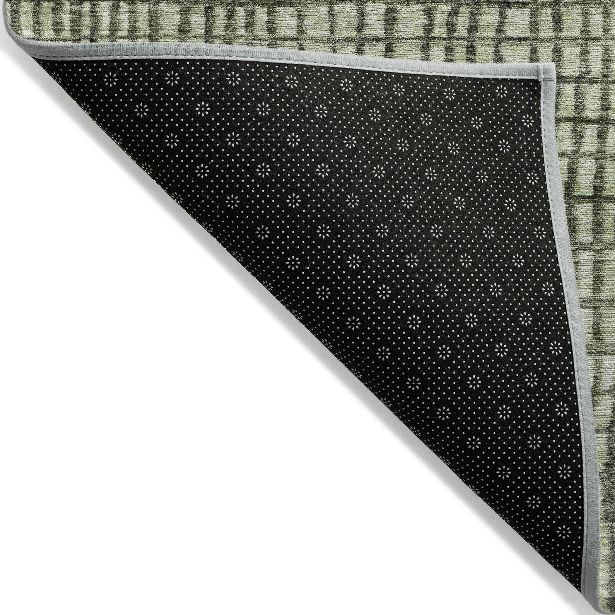 Addison Rugs Raeon Aloe Washable Indoor-Outdoor Rug