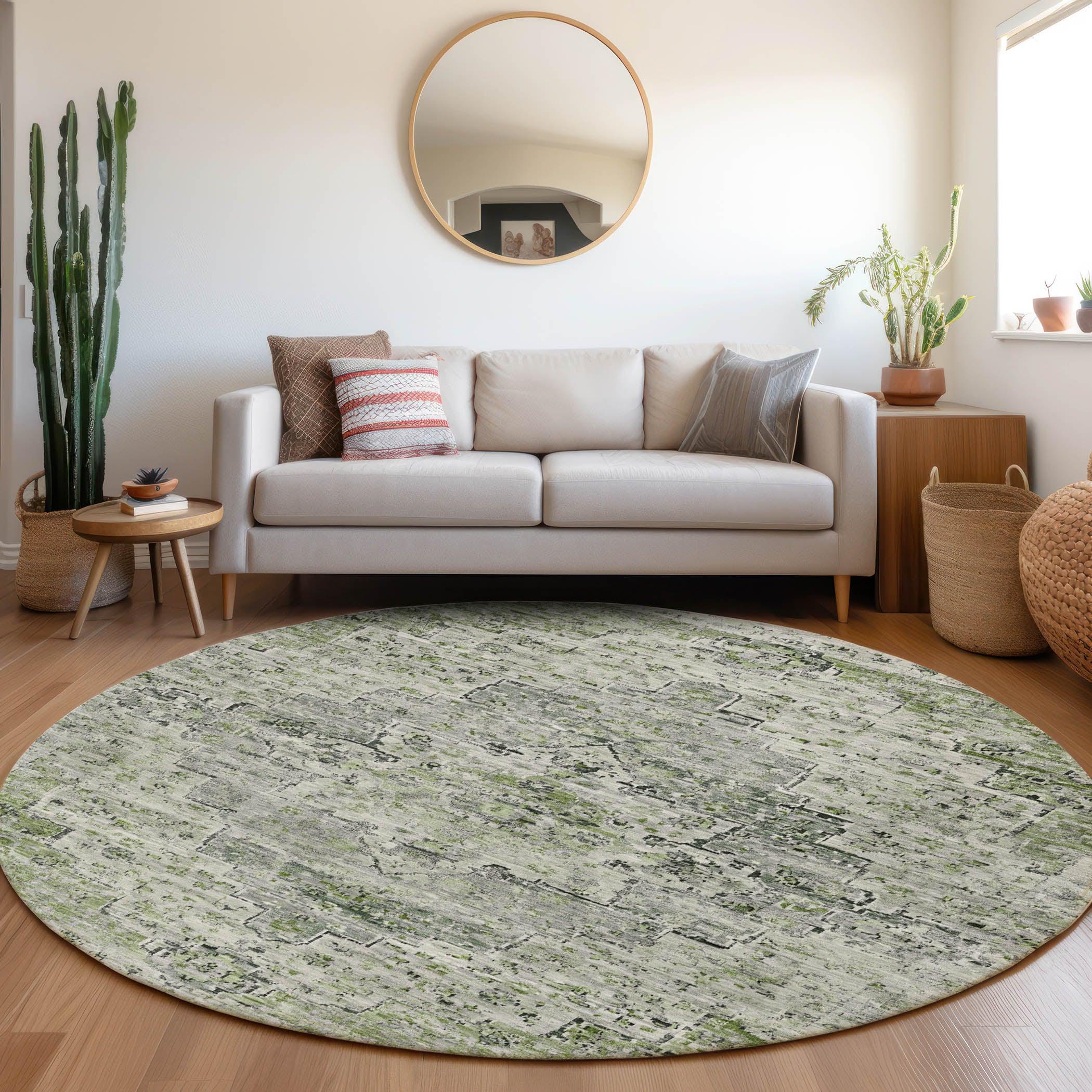 Addison Rugs Raeor Aloe Washable Indoor-Outdoor Rug