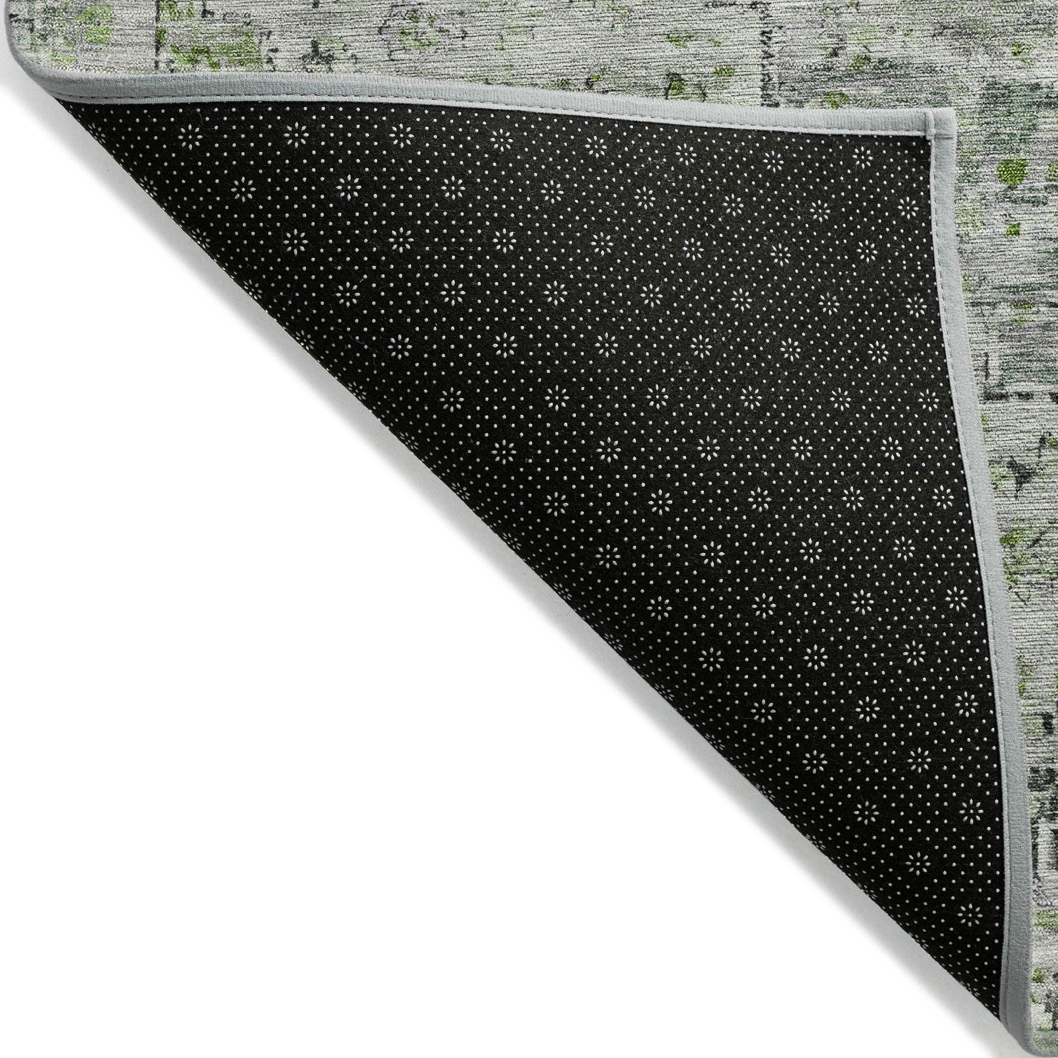 Addison Rugs Raeor Aloe Washable Indoor-Outdoor Rug