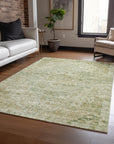 Addison Rugs Raeor Green Washable Indoor-Outdoor Rug
