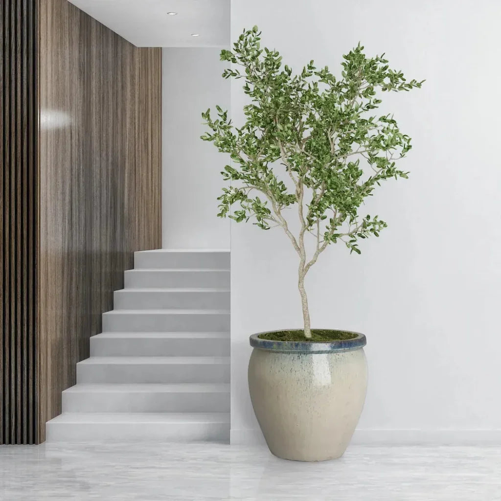 Emissary Round Crafted Ceramic Planter