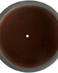 Emissary Round Cylinder Ceramic Planter