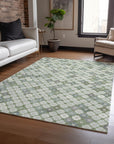 Addison Rugs Saelaris Green Washable Indoor-Outdoor Rug
