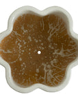 Emissary Scalloped Ceramic Outdoor Planter