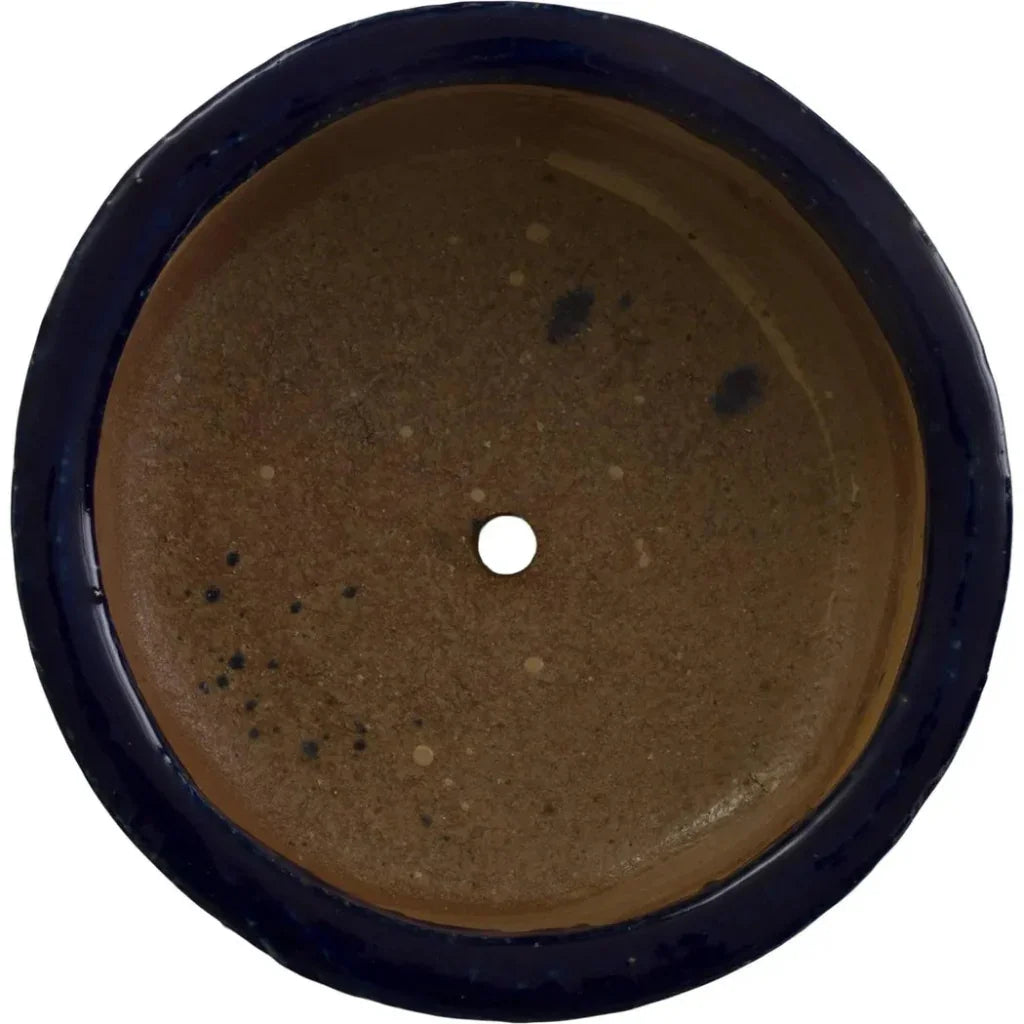 Emissary Shallow Round Ceramic Lip Planter