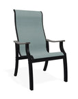 St. Catherine Sling Supreme Rustic Polymer Arm Chair