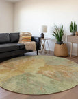 LOOMLAN Rugs Theodara Aloe Washable Indoor-Outdoor Rug