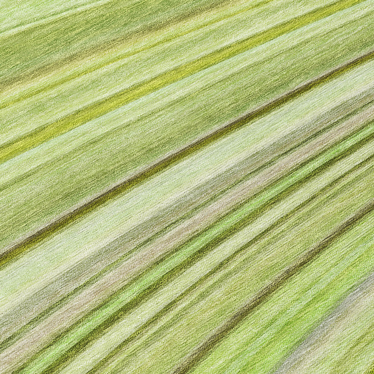 Addison Rugs Waves Green Washable Indoor-Outdoor Rug
