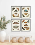 Butterfly Collection IV Artwork d Canvas Floating - LOOMLAN - LOOMLAN - Canvas Art