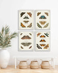 Butterfly Collection IV Artwork d Canvas Floating - LOOMLAN - LOOMLAN - Canvas Art