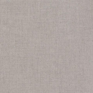 Spotlight Pebble