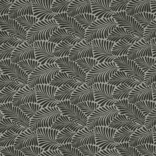 Frond Classic