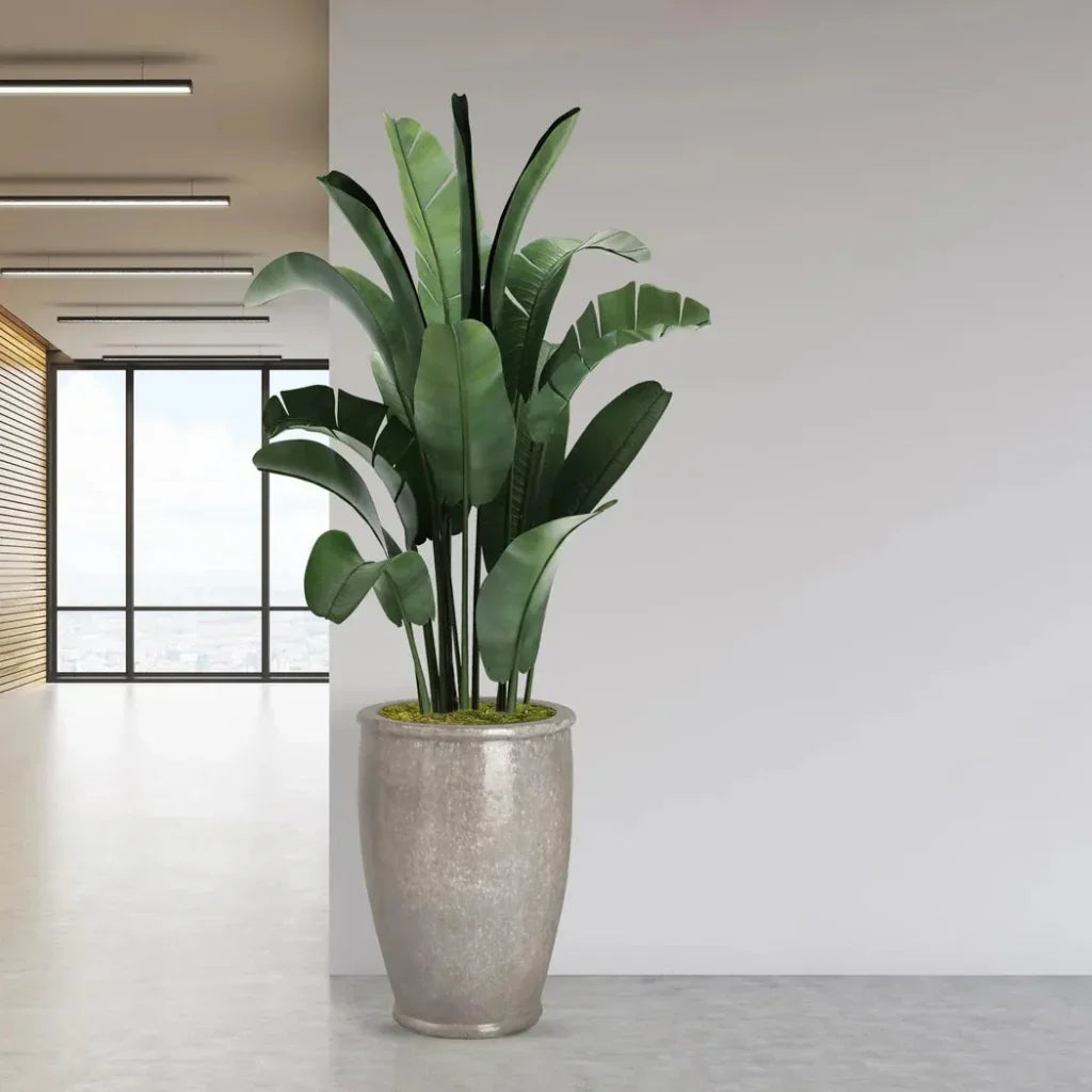 Emissary Ceramic Round Rim Planter