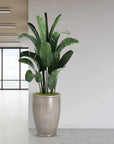 Emissary Ceramic Round Rim Planter