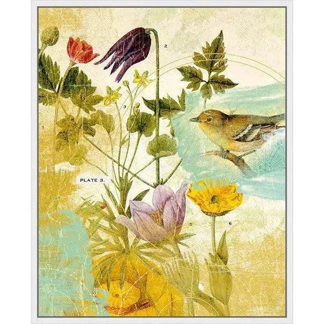 LOOMLAN First Bird the Garden Artwork d Canvas Floating