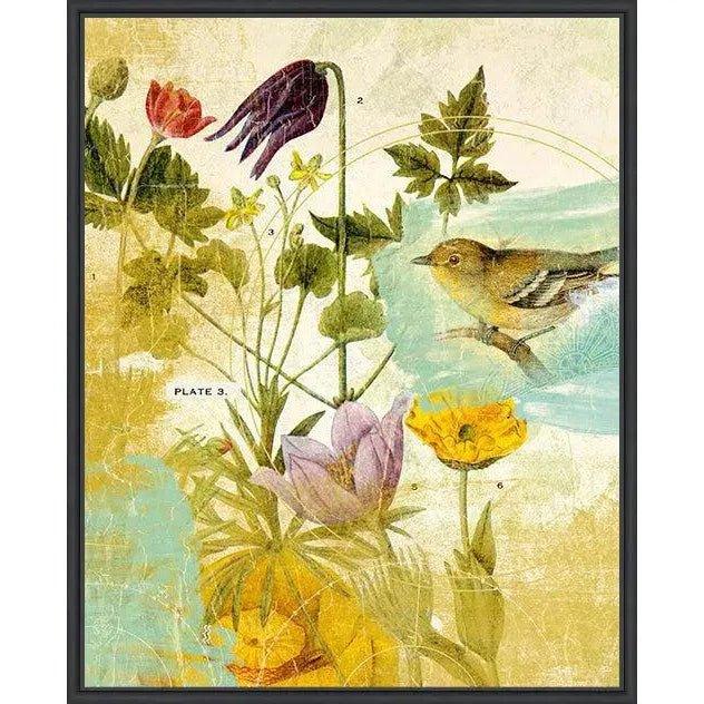 LOOMLAN First Bird the Garden Artwork d Canvas Floating