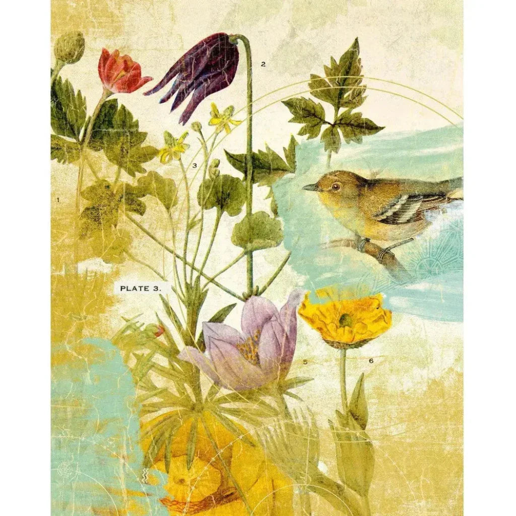 LOOMLAN First Bird the Garden Artwork d Canvas Floating