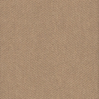 Hayden Linen