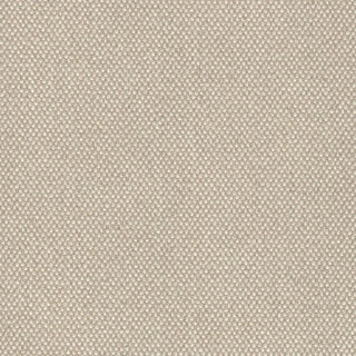 Hayden Taupe