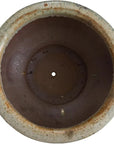 Pedestal Bowl Looked Outdoor Planter