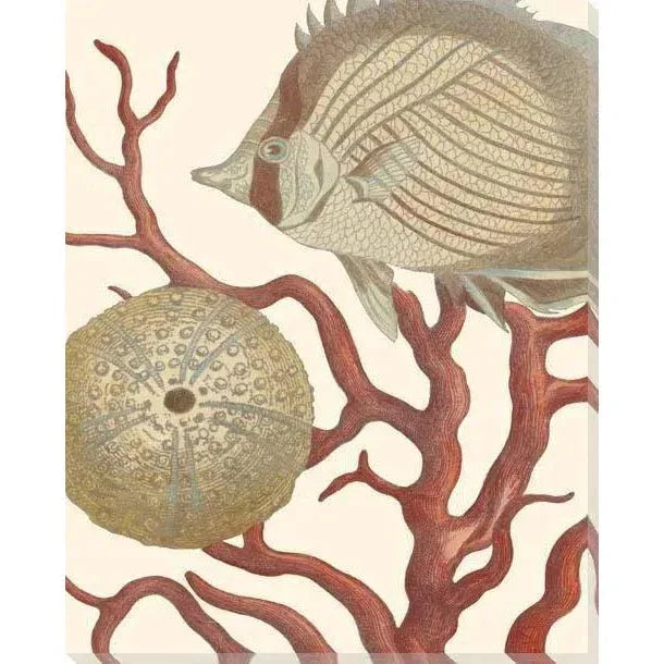 LOOMLAN Reef Life Coastal Wall Art Indoor Outdoor
