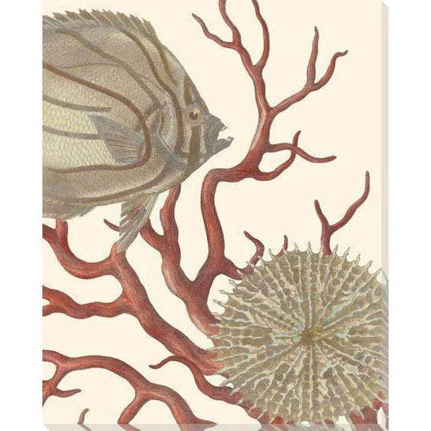 LOOMLAN Reef Life Coastal Wall Art Indoor Outdoor