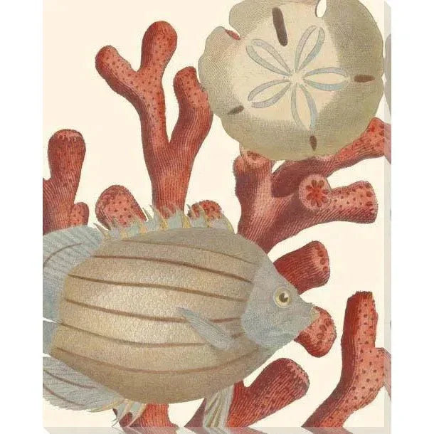 LOOMLAN Reef Life Coastal Wall Art Indoor Outdoor