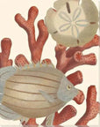 LOOMLAN Reef Life Coastal Wall Art Indoor Outdoor