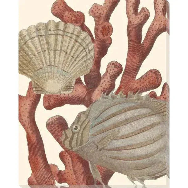 LOOMLAN Reef Life Coastal Wall Art Indoor Outdoor